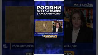 Росіяни РОЗГРАБУВАЛИ заповідник Асканія-Нова. Тварин там майже НЕ ЛИШИЛОСЬ.