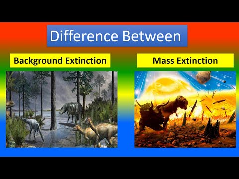 How do you calculate background extinction rate?