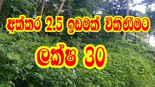 ලක්ෂ 30 අක්කර 2.5 ඉඩමක් විකිණීමට | kalu malli | aduwata idam