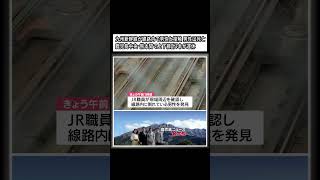 九州新幹線が線路内で男性と接触し男性が死亡　鹿児島中央－熊本間で上下線計7本運休　鹿児島・出水市 (23/11/18 10:30) #shorts