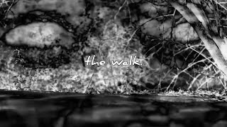 Marty Eyezlow - the walk.