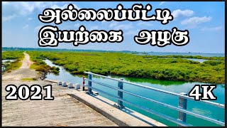 அல்லைப்பிட்டி இயற்கை அழகு Allaipiddy Nature