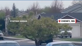 Caught on camera: Woman arrested after chasing child with car