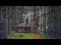 The sound of rain to sleep. Fall asleep to the sound of rain in forest next to a forest hut.