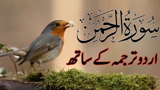 Surah Rahman with Urdu translation| |سورة الرحمن| |Quran tilawat