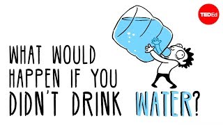 What would happen if you didn’t drink water? - Mia Nacamulli