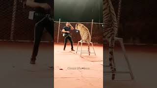 Lucky irani circus tiger item with senior ring master Iqbal khan #circus #luckyiranicircus