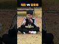 약과 vs 탕후루 뭐가 더 좋아