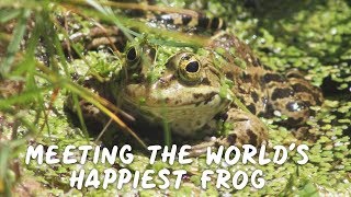 Herping In The UK | New Forest Reptile Centre