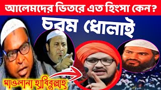 এক আলেম আরেক আলেমের সঙ্গে মিল নাই || চরম ধোলাই || Maolana Habibullah Belali || Bangla Waj ২০২৪