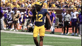 Josh Wallace | Cornerback | Michigan | 2023 Highlights | 2024 NFL Draft