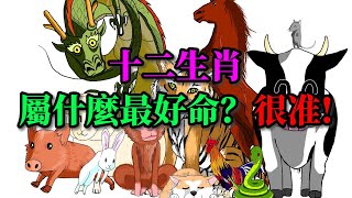 十二生肖，屬什麼最好命？很准!【佛教因果】