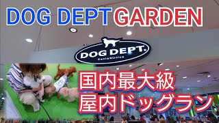 【お台場】国内最大級な屋内ドックラン　DOG DEPT GARDEN【ヴィーナスフォート】