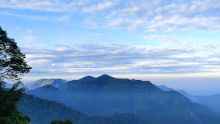 阿里山/隙頂老鷹穴/雲頂步道