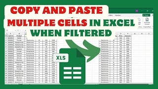 How To Copy And Paste Multiple Cells In Excel When Filtered