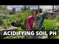 The EASY and EFFECTIVE Way to Acidify Your Soil pH