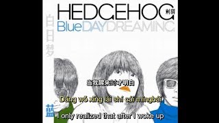 Hedgehog 刺猬 - 白日梦蓝 (English and Chinese Lyrics)