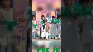 Iqbal day celebration - Iqbal day presentation - Iqbal day presentation ideas - school activities