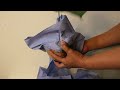 wishlist plant unboxing amydrium medium silver