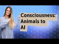 How Does Consciousness Evolve From Animals to AI?