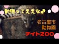 【動物ってええな♪】東山動植物園　ナイトzoo　本当に真っ暗（笑）夜の動物園！凄い人で…暑かった ^_^ japan 東山動植物園 ナイトzoo