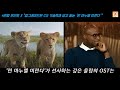 🦁 이번엔 백사자 라이온 킹 역대 최고의 카리스마를 가진 빌런의 등장 *영화 소개