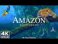 Amazon 4k - Relaxing Music With Beautiful Natural Landscape - Amazing Nature