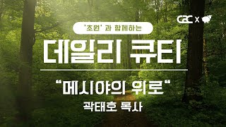 ['초원'과 함께하는 데일리 큐티] 미디어교회 묵상 | 곽태호 목사 | 8월 27일 | 삶은 계란 큐티 시즌2