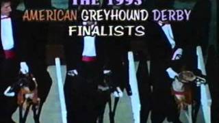 1993 American Derby.flv