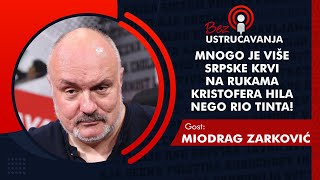 BEZ USTRUČAVANJA-Miodrag Zarković:Mnogo je više srpske krvi na rukama Kristofera Hila nego Rio Tinta