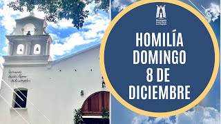 Homilía Domingo 8 de Diciembre 2024 - Parroquia Santa María de los Ángeles