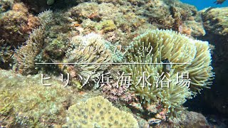 ヒリゾ浜海水浴場　透明度良好　潮の流れ早すぎて…