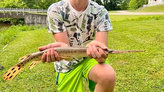 Nice gar