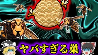 【意味怖】早く駆除しないと大変なことになりそうです・・・「スズメバチの巣」【ゆっくり】