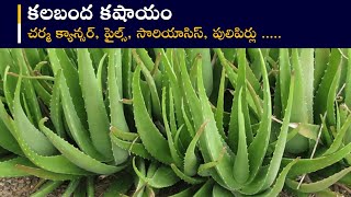 కలబంద కషాయం | Kalabanda Kashayam In Telugu | Aloe Vera Benefits | Dr. Khadar | Biophilians Kitchen