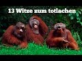 Die besten Witze zum TOTLACHEN!!