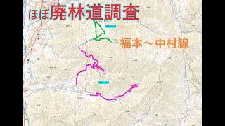 ”ほぼ” 廃林道調査　兵庫県神崎郡神河町　福本～中村線(仮称)　2023-10-7　オフロードバイク　林道ツーリング　KTM 150XC-W　ハスクバーナ　Husqvarna