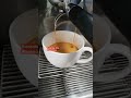 how to make a sweet americano cocktails coffee milkcoffee food shortsvideo short