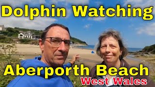 Dolphin Watching - Aberporth West Wales