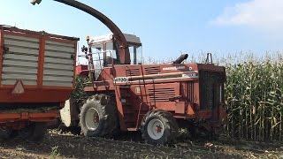 Met de Hesston 7720 en 2 New Holland 8160's de mais in (2015)