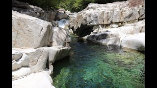 面河渓本通り（誰もが知ってる面河渓）