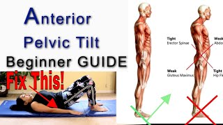 Anterior Pelvic Tilt Posture Step By Step A Beginner Guide