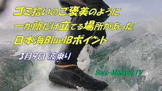 ゴミ拾いのご褒美のように一か所だけ立てる場所があった日本海 210309 ~サーフモンキーTV