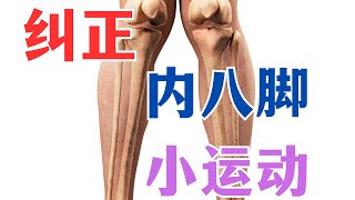 纠正内八脚小运动