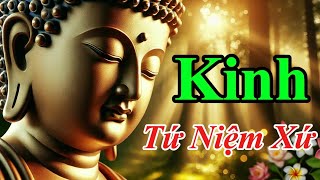 Kinh Tứ Niệm Xứ: Bí Quyết Đức Phật Chỉ Ra Để Sống An Vui Ngay Hiện Tại