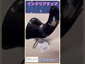 100 yen shop interior chair