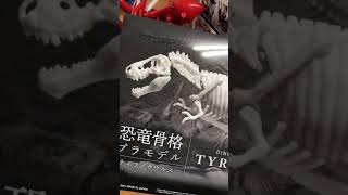 石灰石恐龍骨骼模型?! #shorts #Limestone #Tyrannosaurus