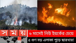 পুড়ছে আমাজন, বাড়ছে বৈশ্বিক তাপমাত্রা এবং দুর্যোগ! | AmazonRainforest | Professional News Tv