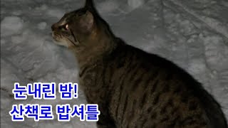 눈오는밤! 산책로 밥셔틀