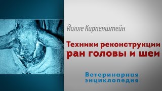 Техники реконструкции ран головы и шеи